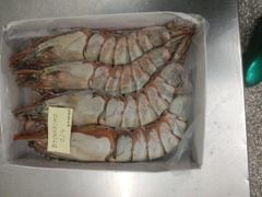 Premium Frozen Black Tiger Shrimp, Giant Freshwater Prawn & Seafood – HACCP, GMP, ISO Certified - Image 2